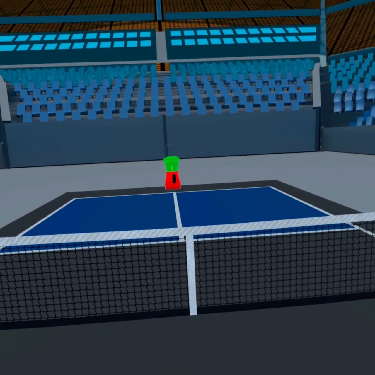 Playin Pickleball - In Game image of player at the net.